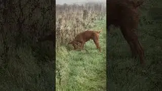 Slow retrieve in the mist
