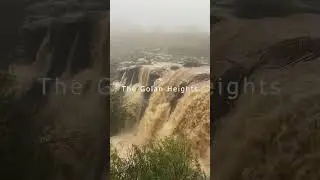 Katzrin Waterfall 
