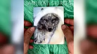 The Animal Spirits Oracle