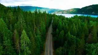 Forest filter  effect #mountain #forest