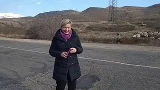 Mountains of Armenia nature eco sheep relatives