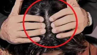 jawed habib total hair therapy madhukar