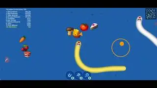 worms in the sity