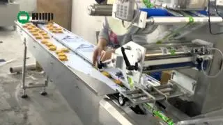 horizontal flow wrapping machine