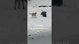SARIKAMISTA  SIRADAN BİRGÜN