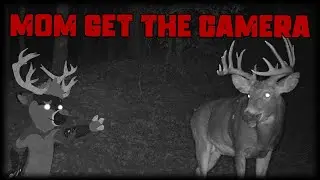 Stuck in a FIREWATCH in a horror game?! [TRAILCAM] (Indie Horror)