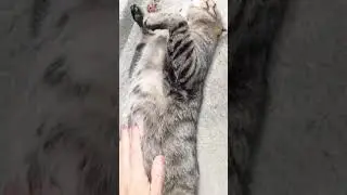 И ещё немного Польки
