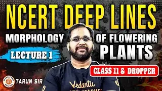 MORPHOLOGY OF FLOWERING PLANTS CLASS 11 | NCERT DEEP LINES | COMPLETE NCERT FOR NEET 2025 TARUN SIR