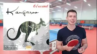 Накладка для настольного тенниса 61 second kangaroo. Липучка, тензор или Гибрид?