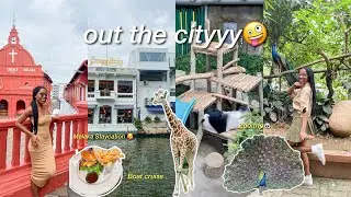 i was stressed so i left the city (Malacca Staycation + Zoo Negara)🫧🐼 | KayxTee
