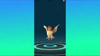 Pokémon GO Mass Evolution - Over 50000XP! (time-lapse)