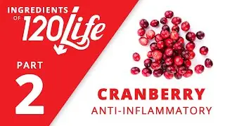 Cranberry - Ingredients of 120/Life