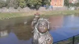 ЗАКАРПАТЛІС     2016
