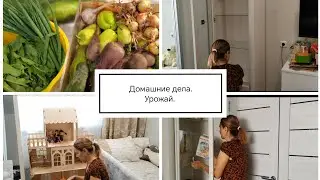 Домашние дела. Урожай.