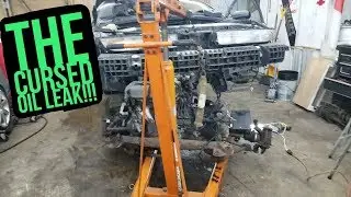 Oil Leak in the wifes car.... Can we find it???