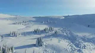 DJI 0155