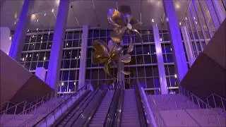 новый терминал А Royal Caribbean в порту Майами