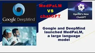 Google and DeepMind launched MedPaLM, a large language model