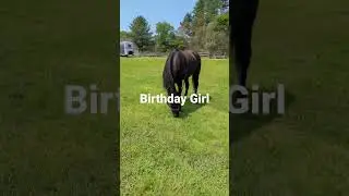 Esprit's 6th Birthday!