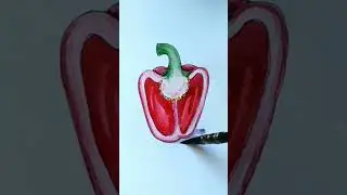 Как нарисовать перец в разрезе 
