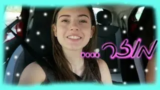 וולוג ללא חתולים