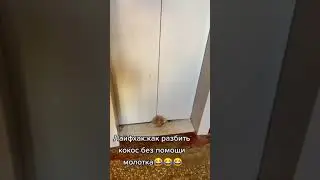 Лайфхаки, lifehacks