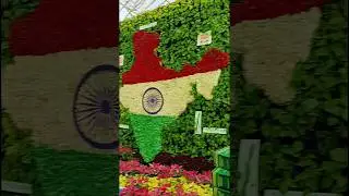 Flower Show at Lalbagh Botanical Garden #happyindependenceday 🇮🇳 #independenceday #shortsfeed