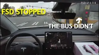 FSD v12 is SAFER than the bus! (v12.3.6)