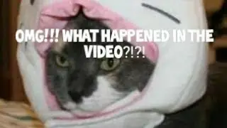 משחק במשחק ושם את המוזיקה שהכי מתאימה לדינמיקה הספציפית של המשחק בו אני משחק