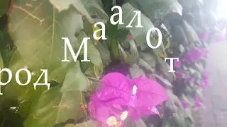 Город Маалот север Израиля - прогулка