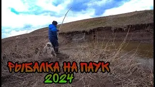 РЫБАЛКА НА ПАУК 2024 ГОДА! ПЕРВЫЙ УЛОВ! ПОЛОВОДЬЕ!