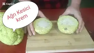 Olmaz Dedim Ama  Ağrıyı Anında Kesti 💯Romatizma Kireçlenme Ağrısına Doğal Krem