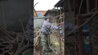 Как выглядит наш хоздвор 