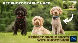 Using Photoshop for the Perfect Pet Photography Group Shot!