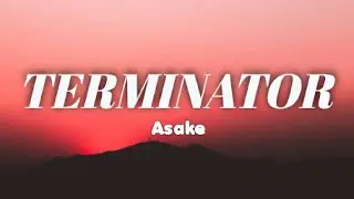 Asake - Terminator (lyrics) #asake