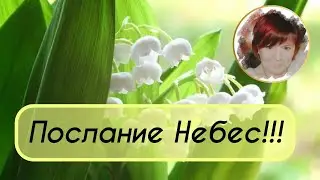 ПОСЛАНИЕ НЕБЕС ДЛЯ ТЕБЯ !!!!