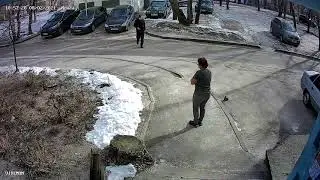Dog attack on a child