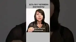 инстинкты у человека 
