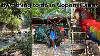 What to do in Copán Ruinas, Honduras | Macaw Mountain Bird Park travel guide