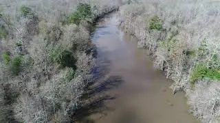 Ivory-billed Woodpecker: Drone Tour up English Bayou