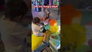 Life size Hungry Hippo #shorts #arcade #game