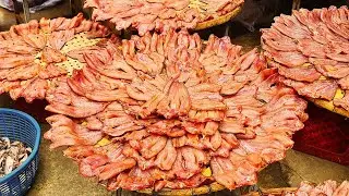 Cambodia Dried Fish | Dried Fish Market Scenes & People Activities | Dried Fish @9km