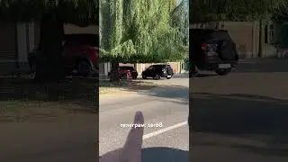 Прическа для дерева #тамбов, #город, #осень,