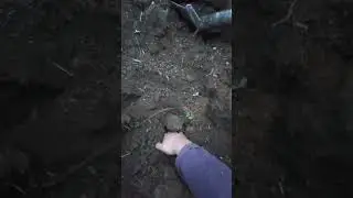 коп на ферме. #металлокоп #металлоискатель #металлоискатель