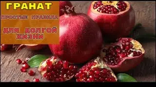 7 ПРИЧИН ЕСТЬ ГРАНАТ: Удивительно и полезно,открой эти новинки для себя!