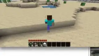 Minecraft- Weirdest world
