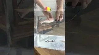 Fishermen are cheating again 