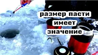 Насадка на крупного ротана. Берёт ТОЛЬКО КРУПНЯК. Размер имеет значение