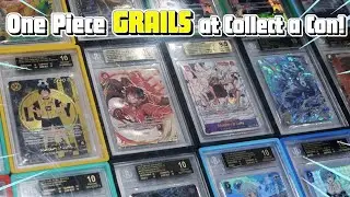 Buying One Piece Cards at Houston Collect-A-Con! | BUYER POV