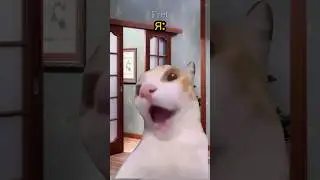 Магическая молния ограбила собаку😱 Мой тг: Yt_Fret 